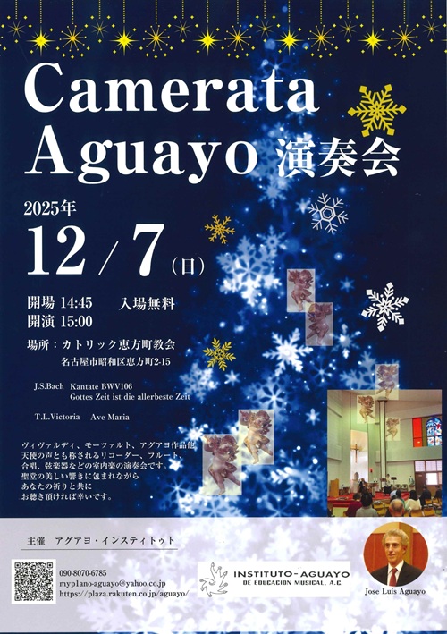 アグアヨ・インスティトゥト　チラシ画像